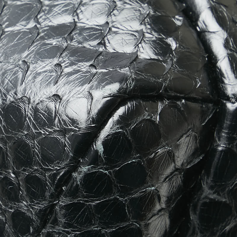 Chanel Coco Python Waist Bag