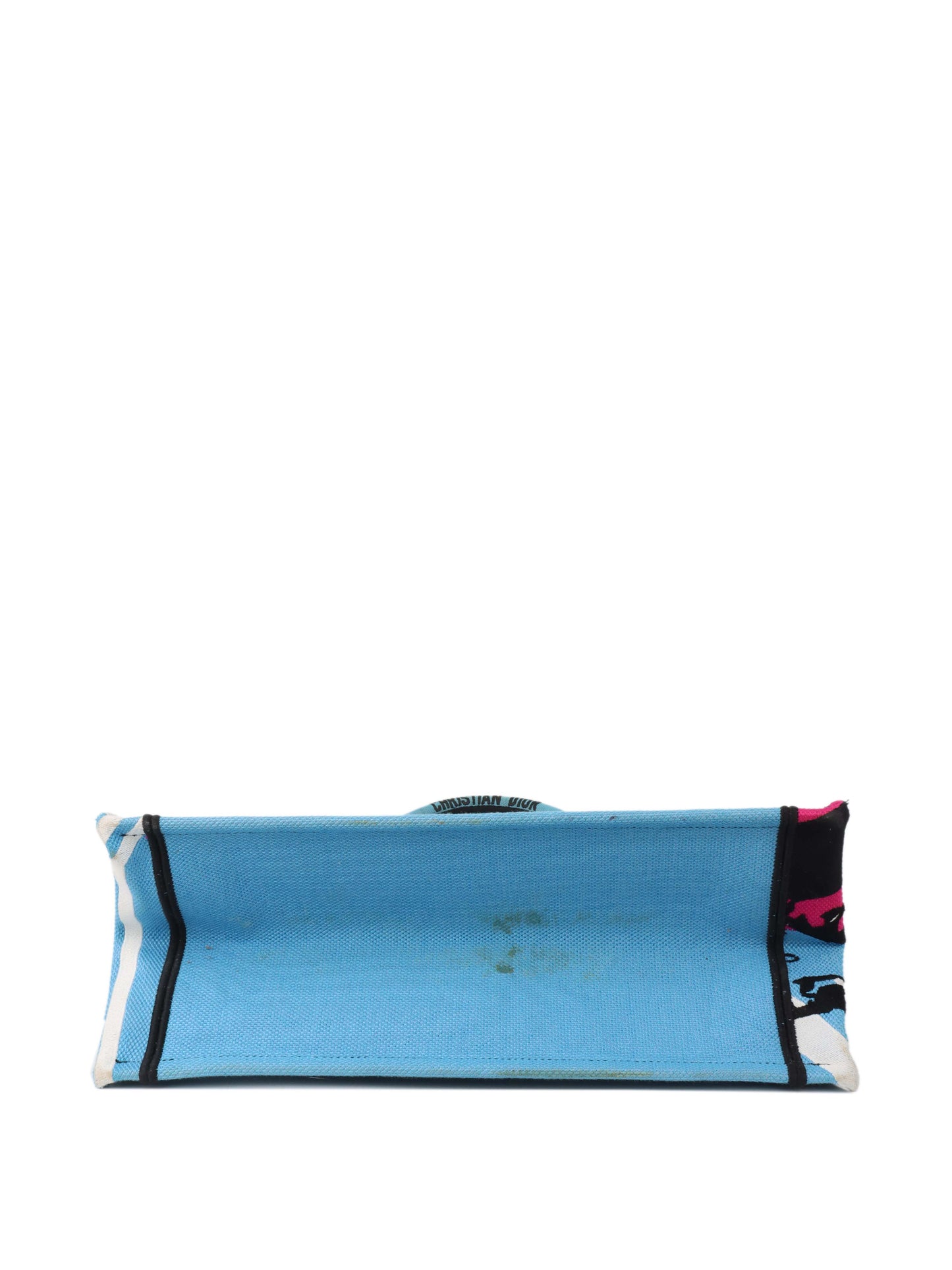 Dior Small Book Tote Blue.
