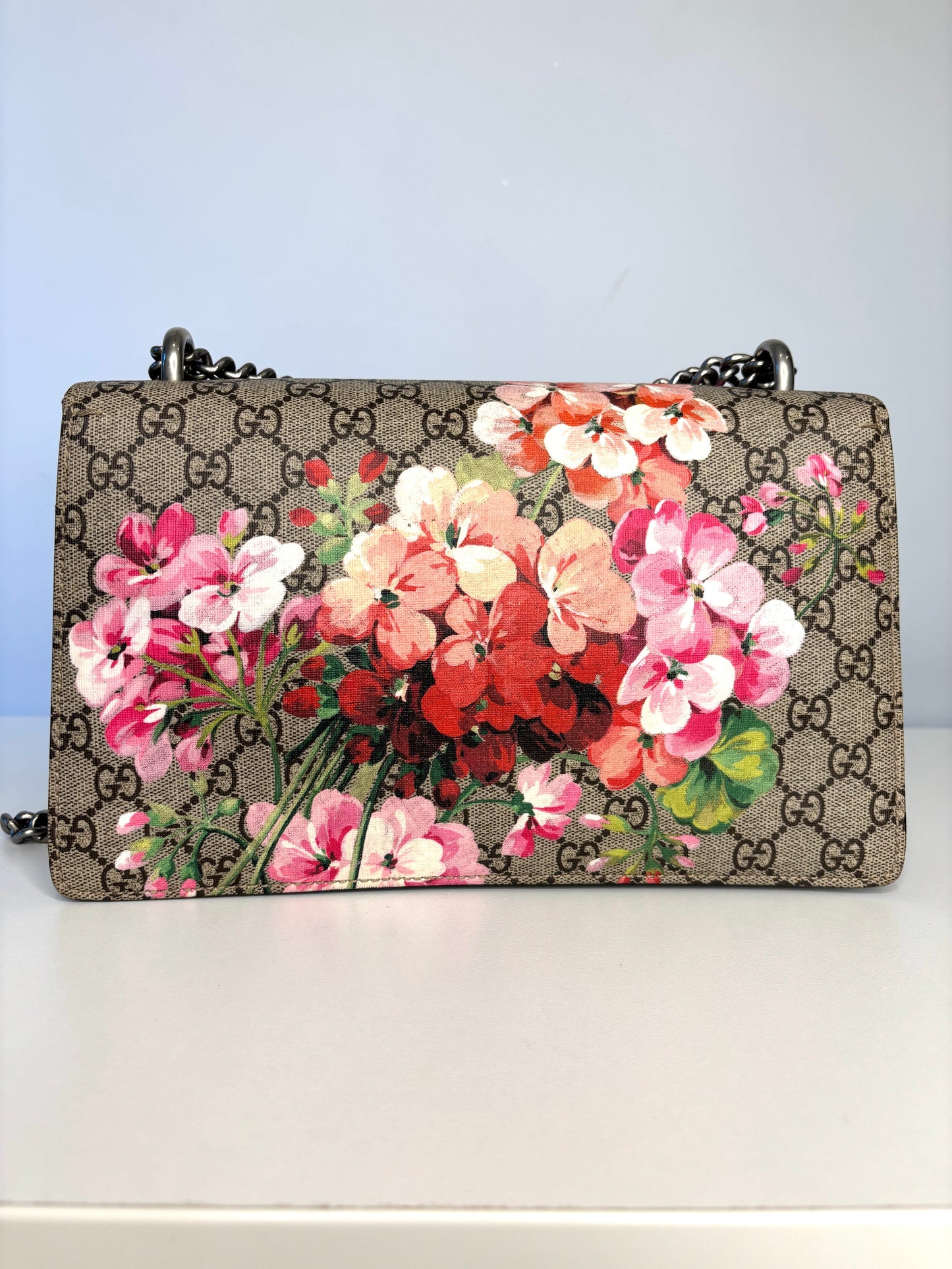 Gucci Chain Canvas Shoulder Bag