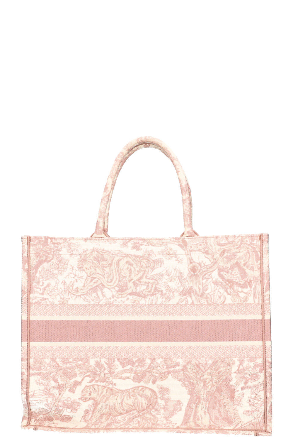 Dior Book Tote Mini Canvas Tote