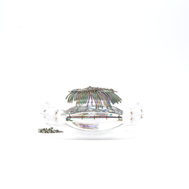 Chanel Evening Bag