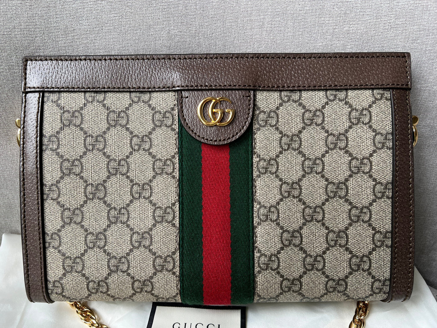 Gucci Ophidia Leather Chain Shoulder Bag Style 2