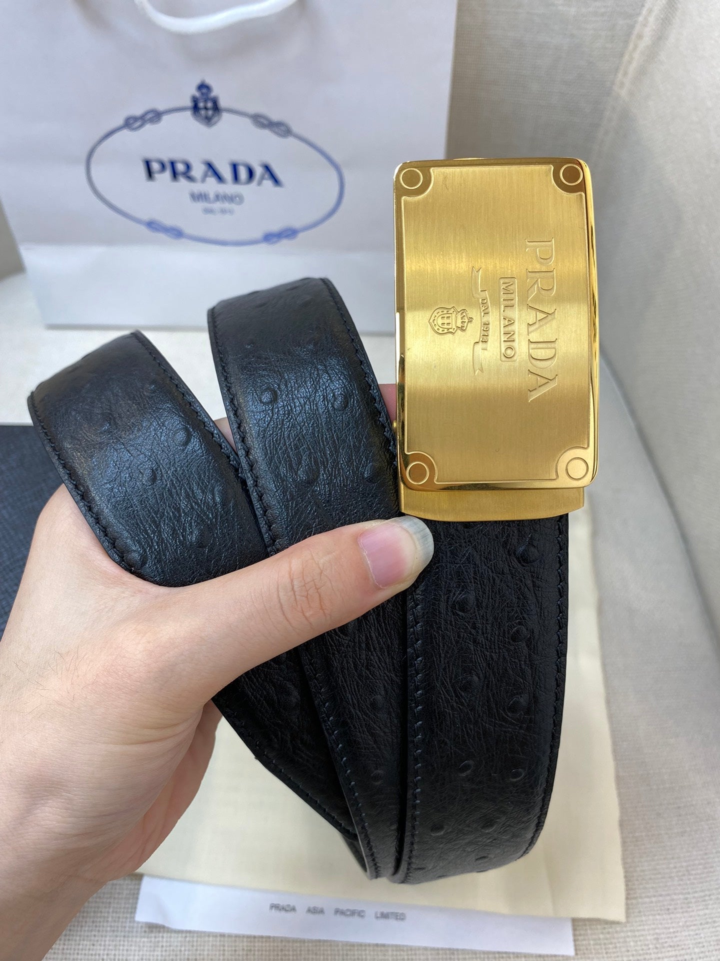 CINTO Prada, CM Luxury Handbag