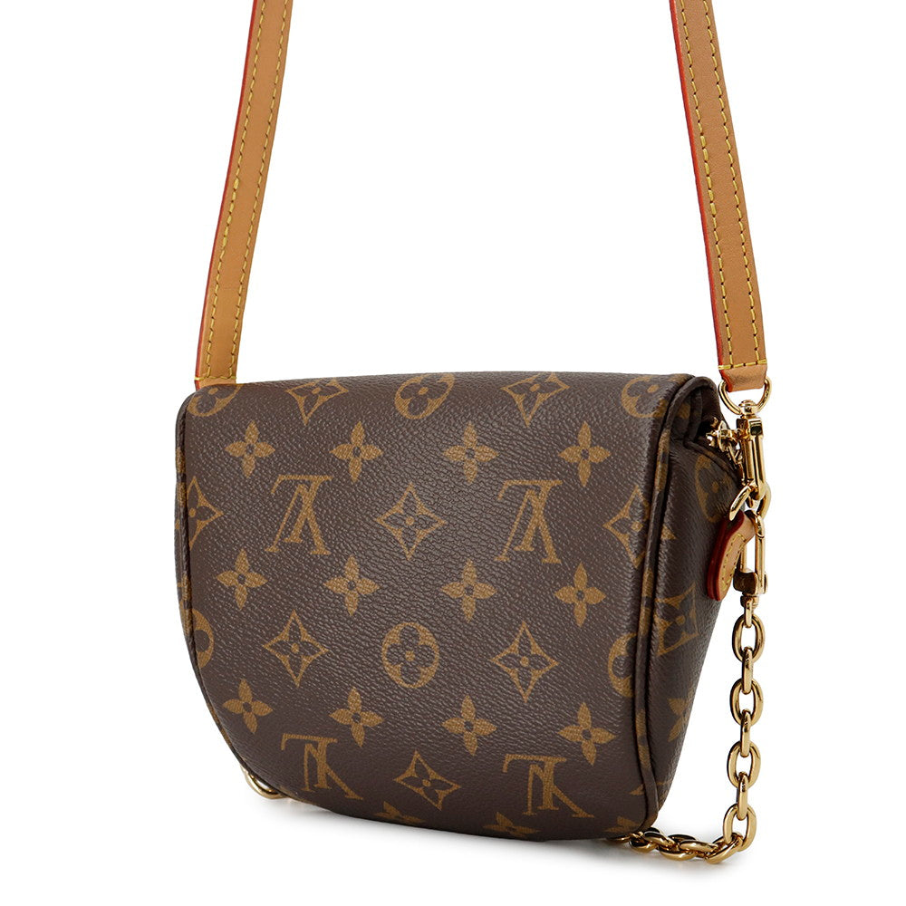 Luxury Women's Handbag | LOUIS VUITTON Mini Bumbag BrownM82335 Monogram