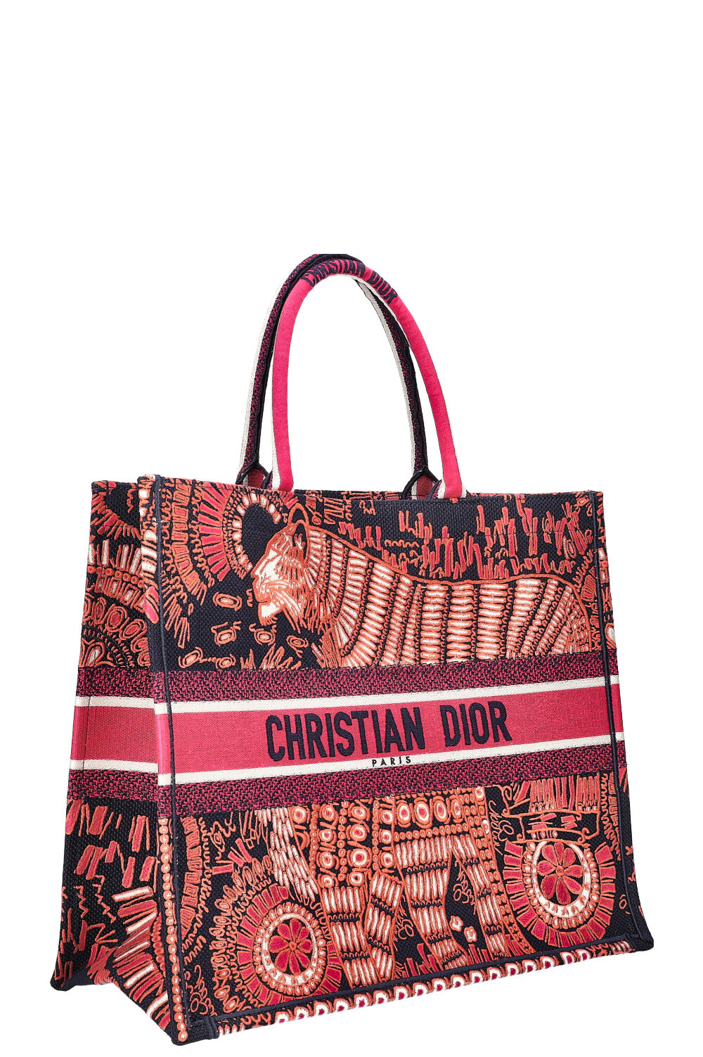 Dior Book Tote Canvas Tote