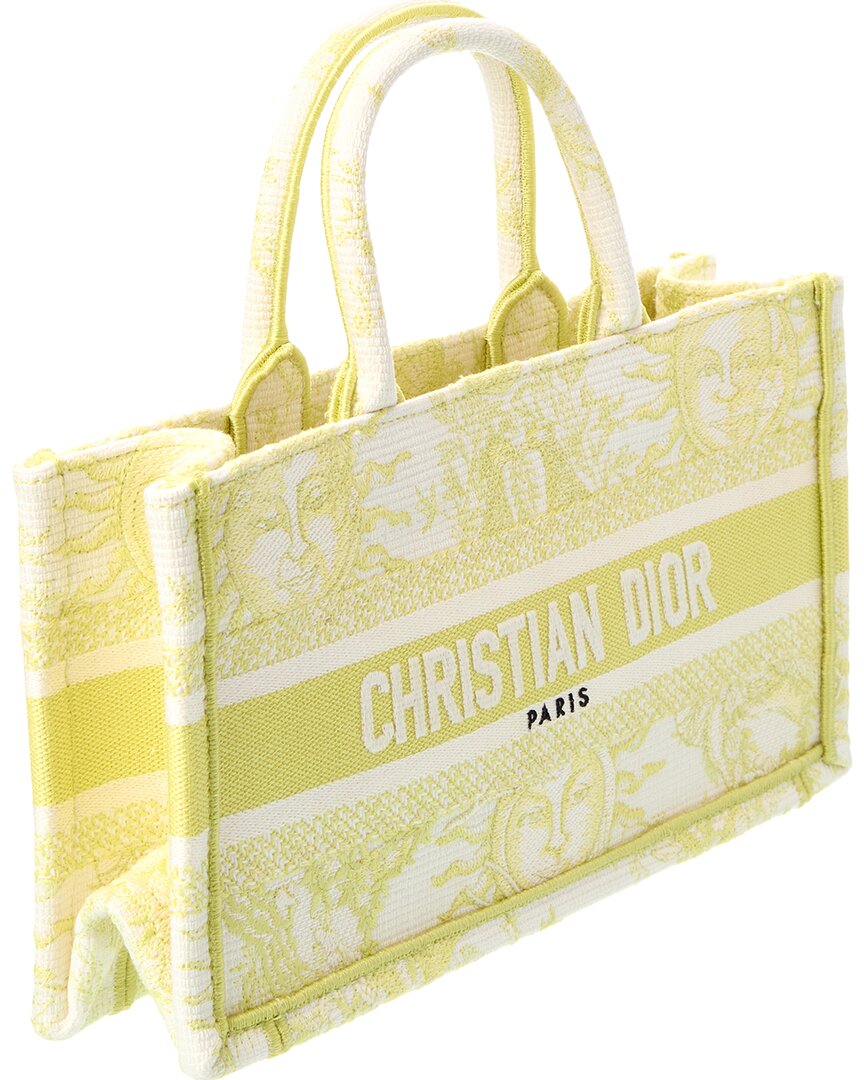 Dior Mini Canvas Book Tote