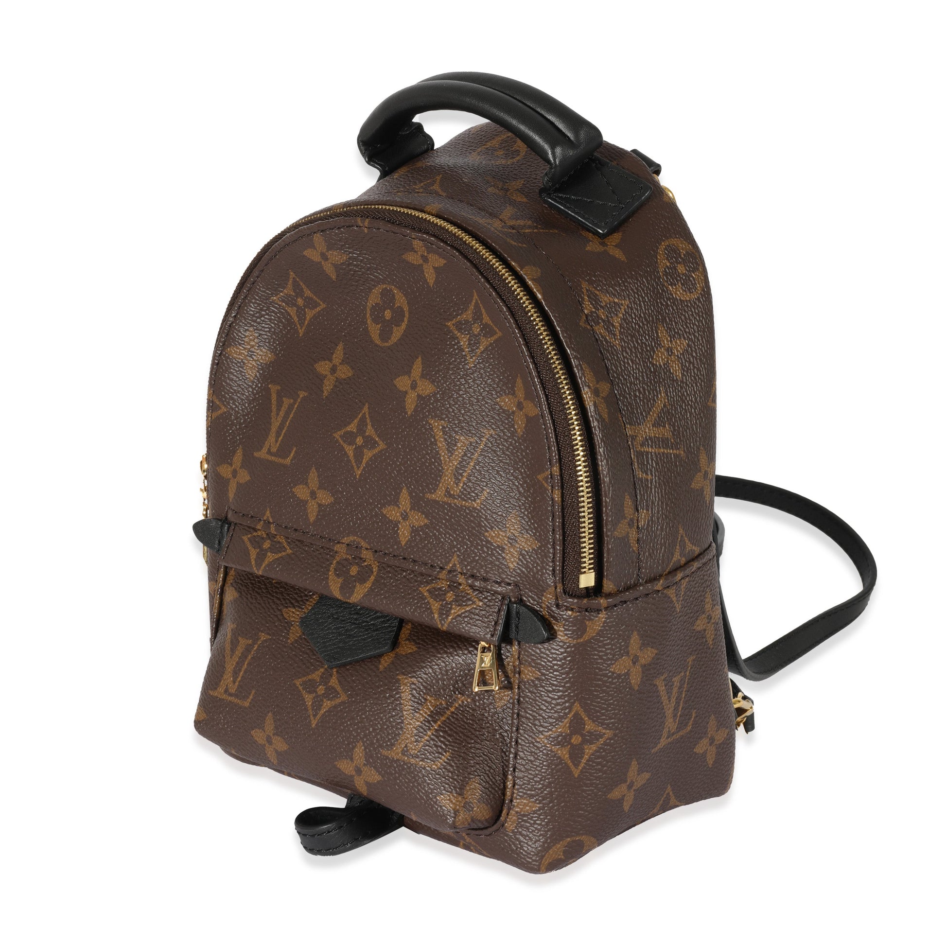 Luxury Women's Backpack | Louis Vuitton Monogram Canvas Palm Springs Mini Backpack