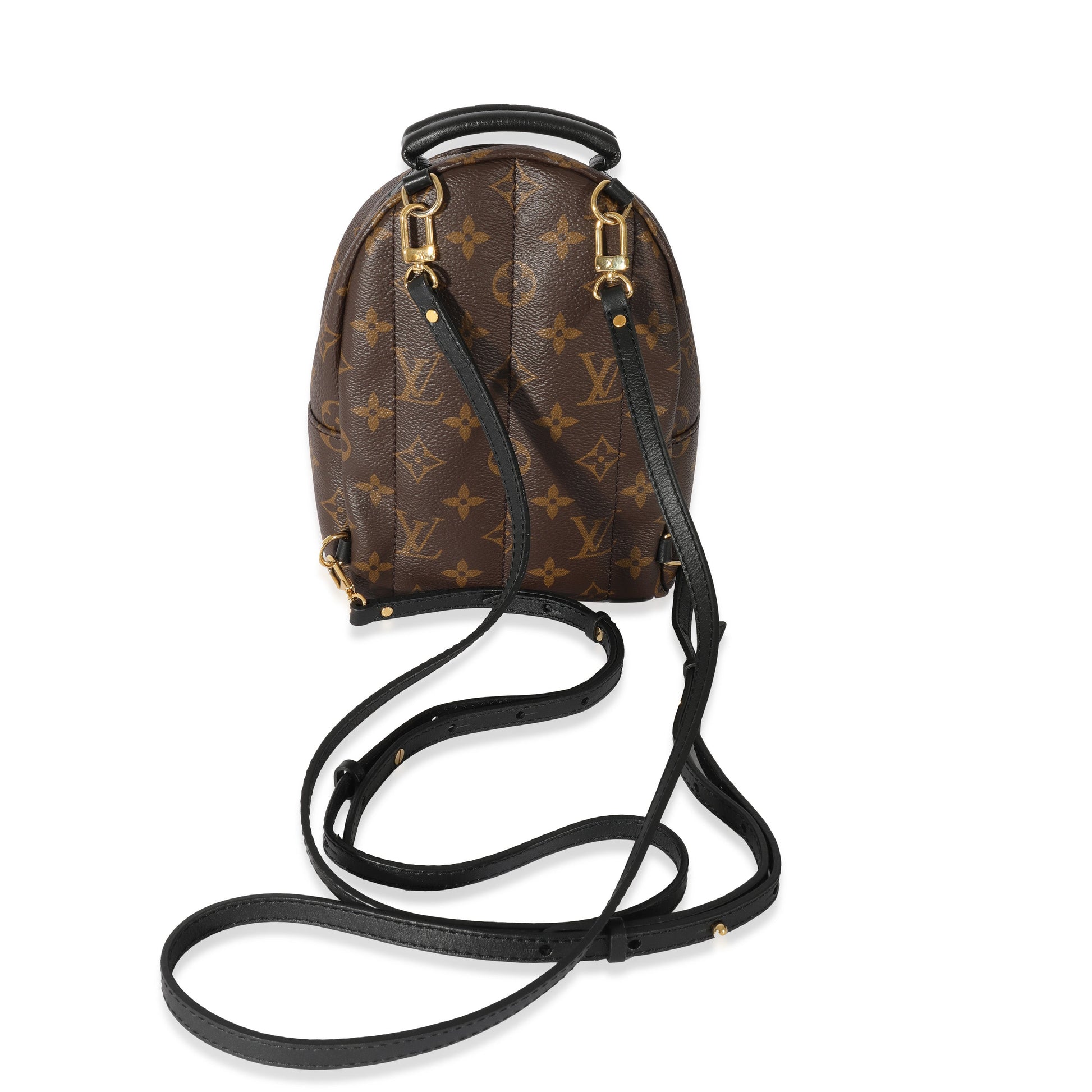Luxury Women's Backpack | Louis Vuitton Monogram Mini Palm Spring Backpack