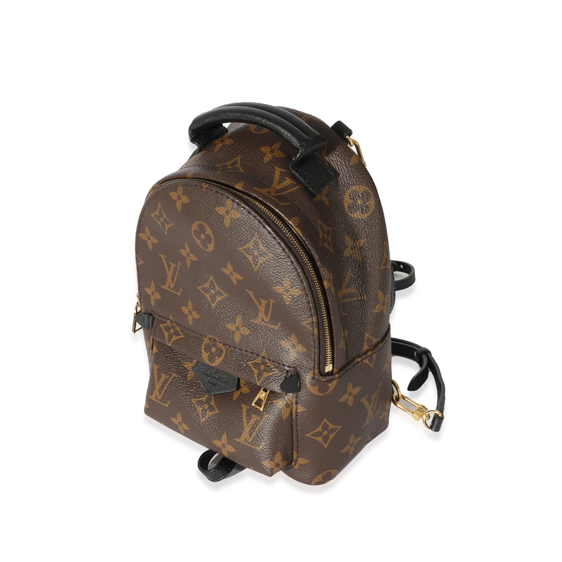 Luxury Women's Backpack | Louis Vuitton Monogram Mini Palm Spring Backpack