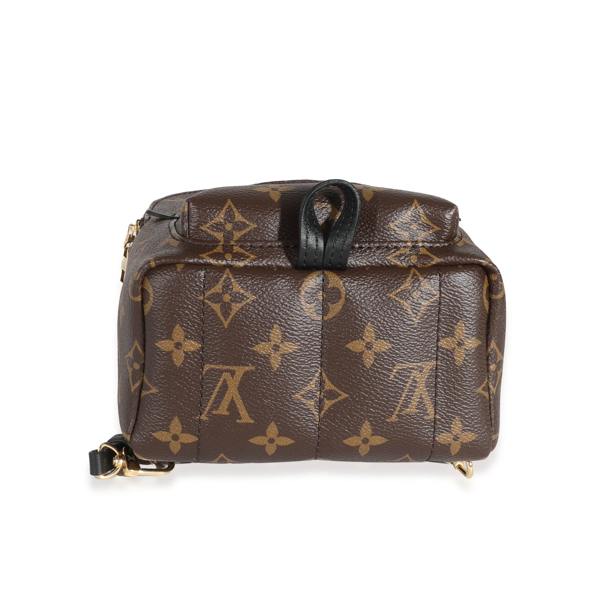 Luxury Women's Backpack | Louis Vuitton Monogram Canvas Mini Palm Spring Backpack