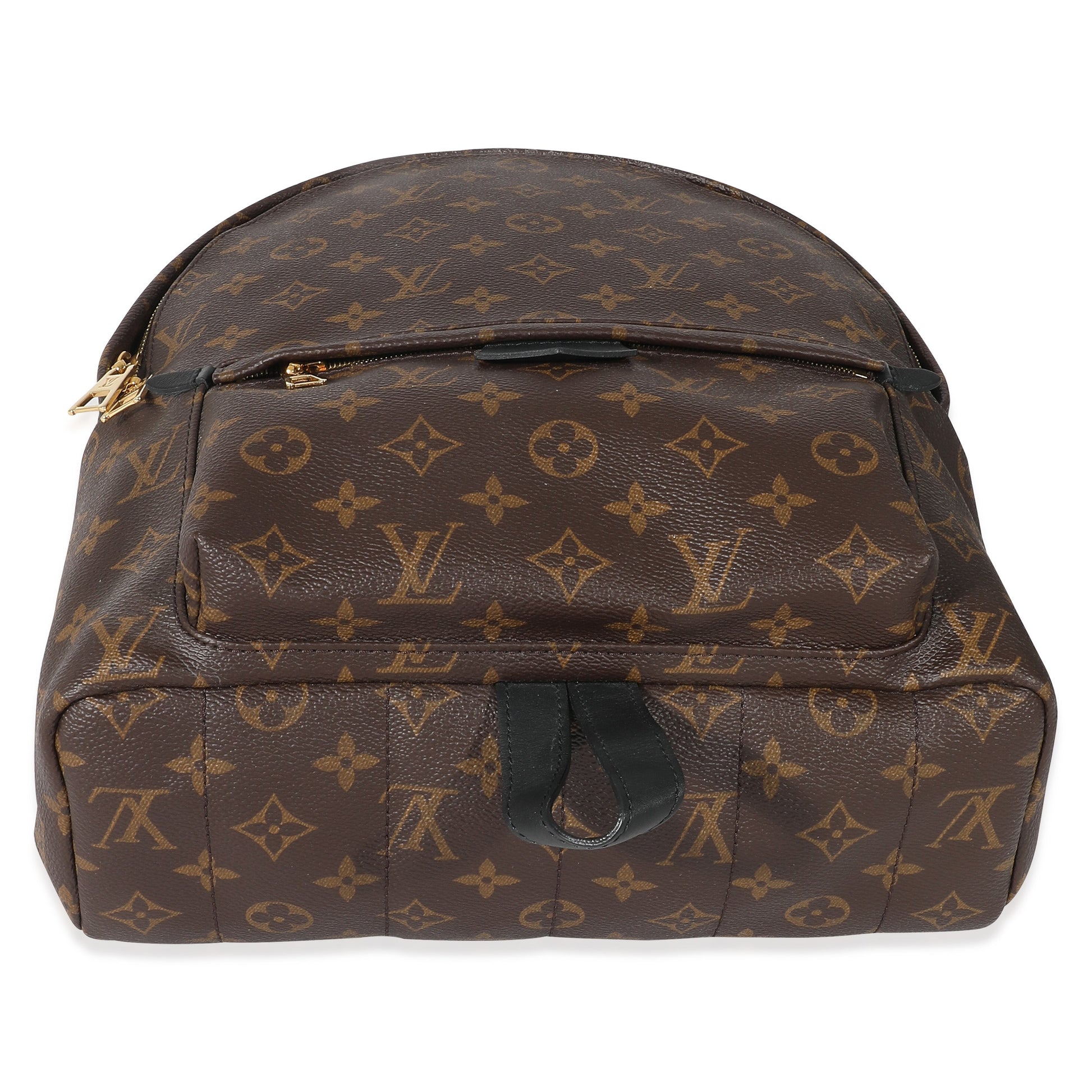 Louis Vuitton Monogram Canvas Palm Springs MM