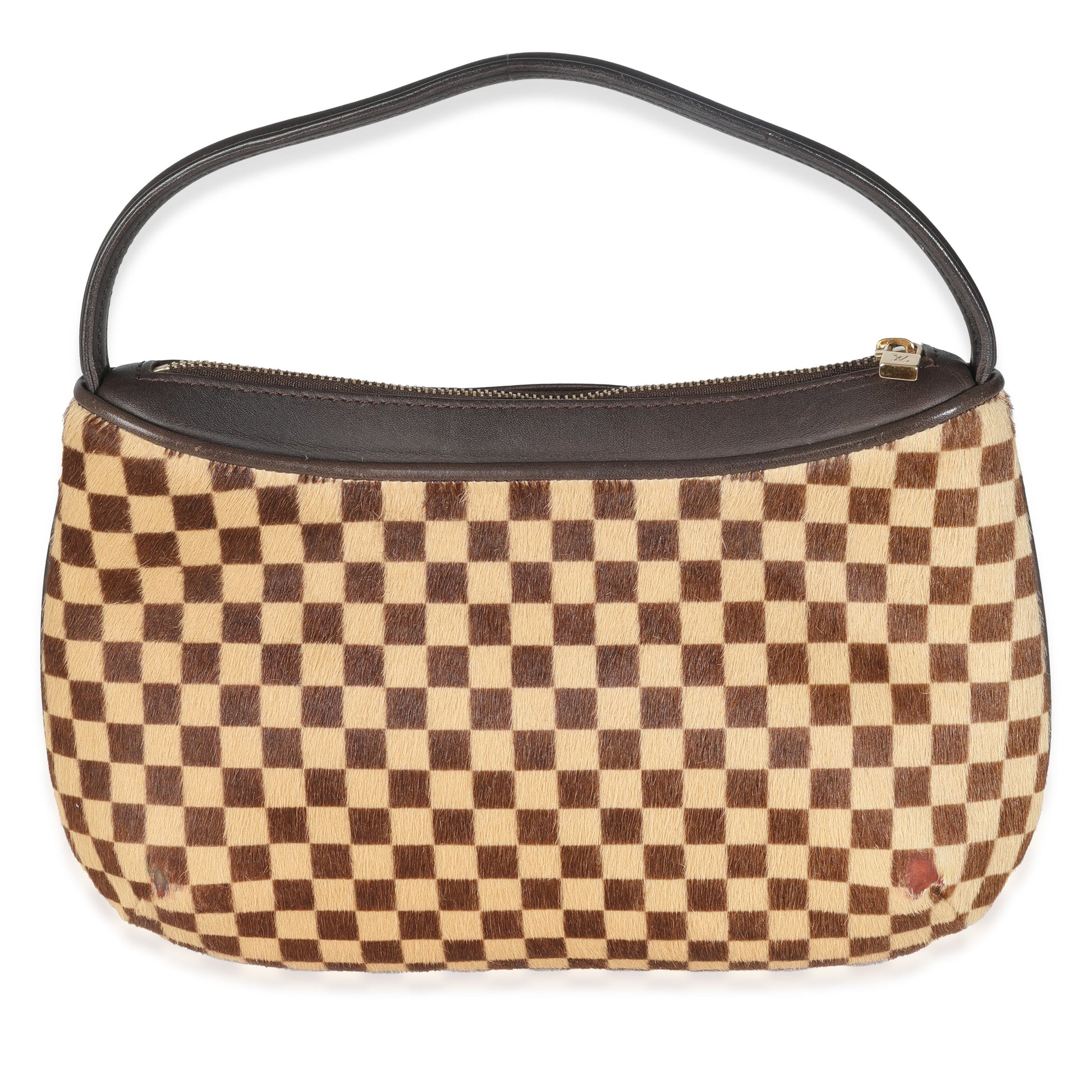 Louis Vuitton Damier Sauvage Pony Hair Tigre Bag