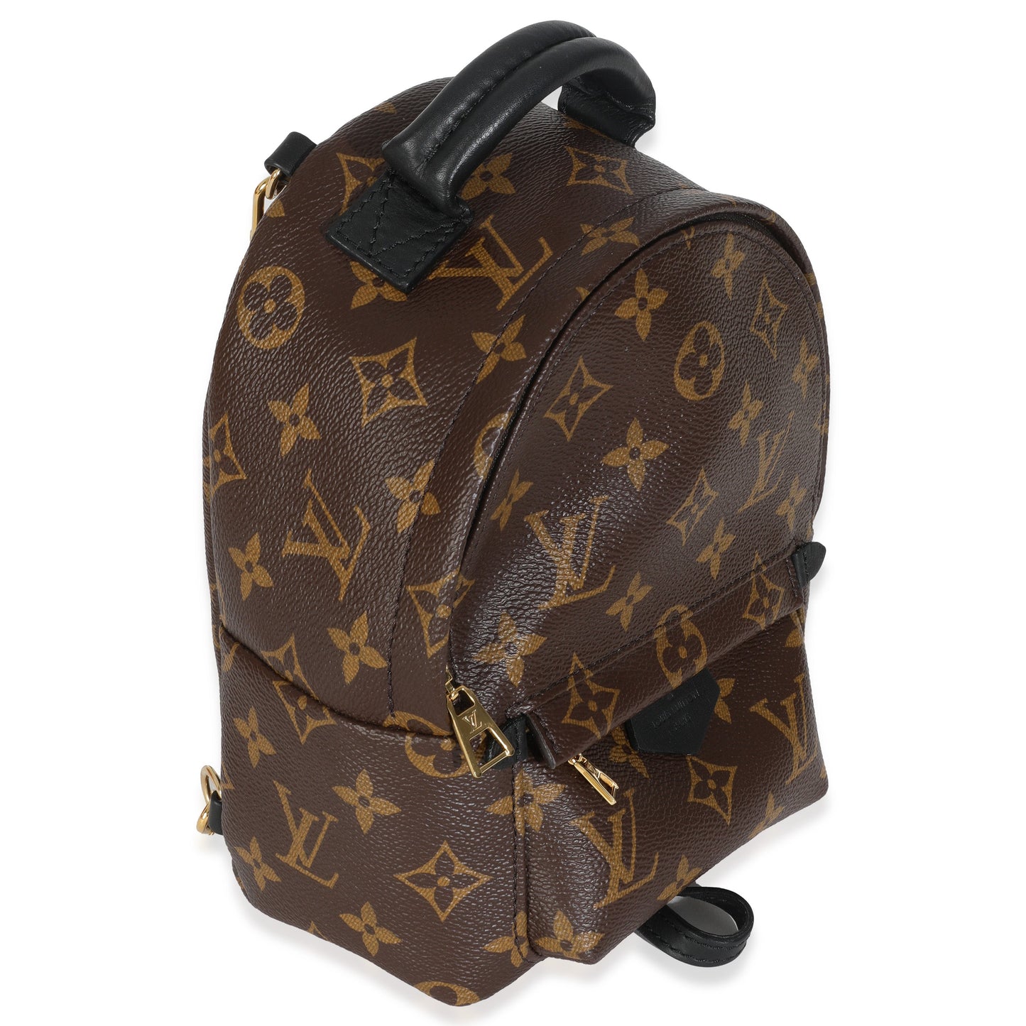 Louis Vuitton Monogram Canvas Mini Palm Springs Backpack