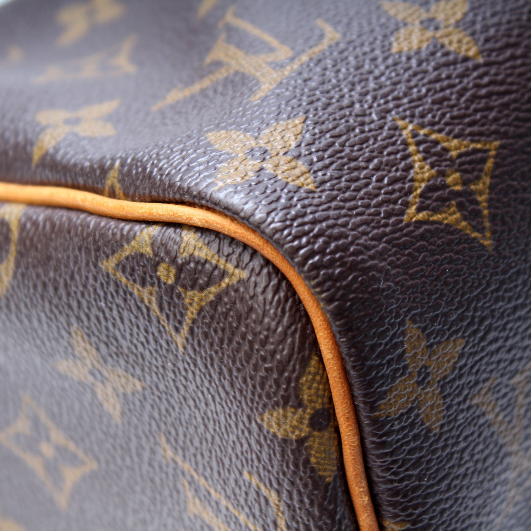 Louis Vuitton Speedy 30 Monogram