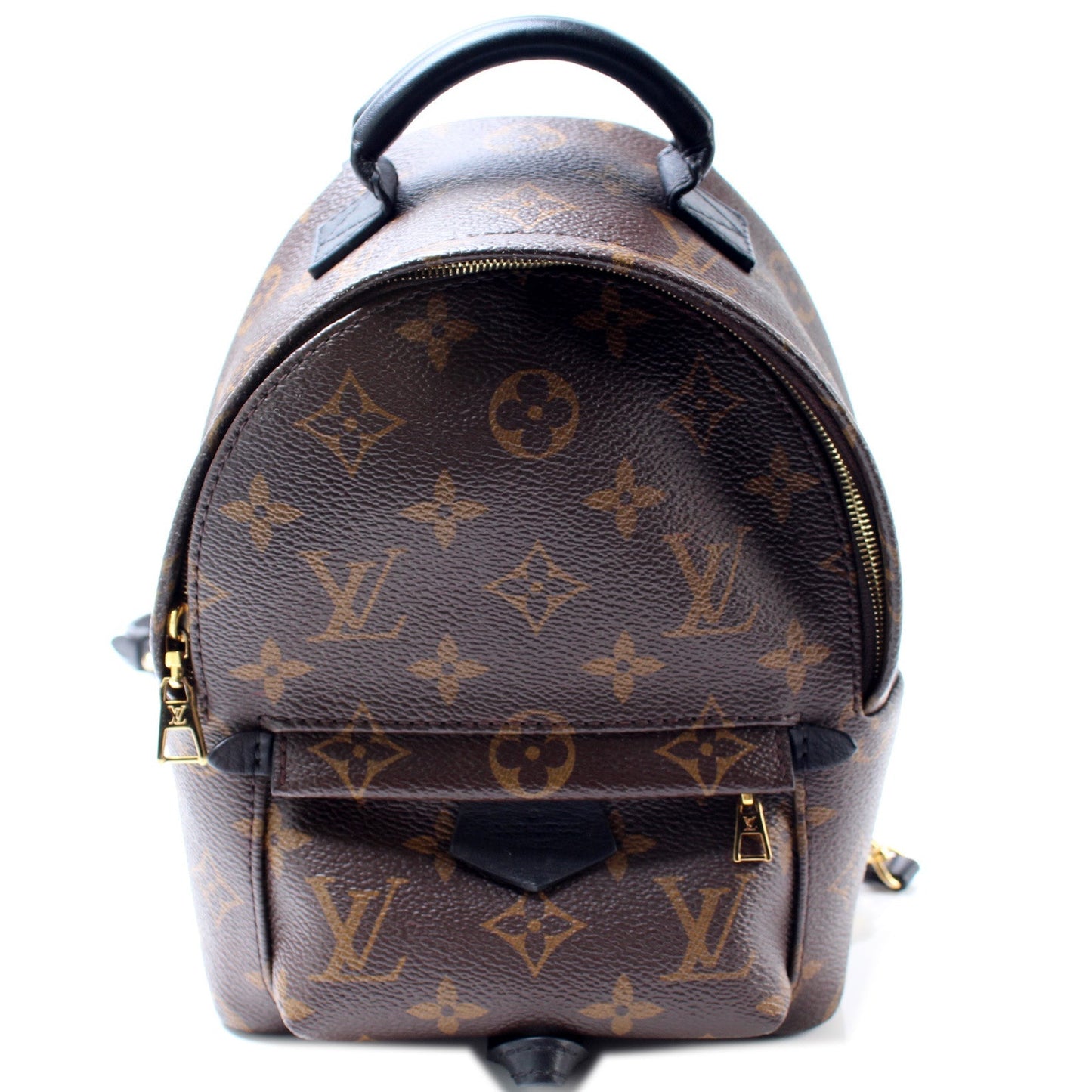 Louis Vuitton Palm Springs Mini Backpack Monogram