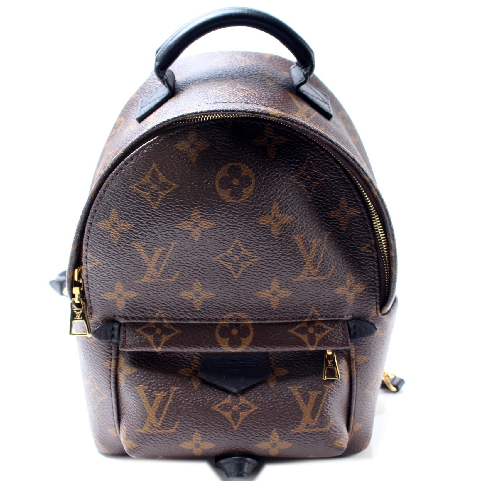 Louis Vuitton Palm Springs Mini Backpack Monogram