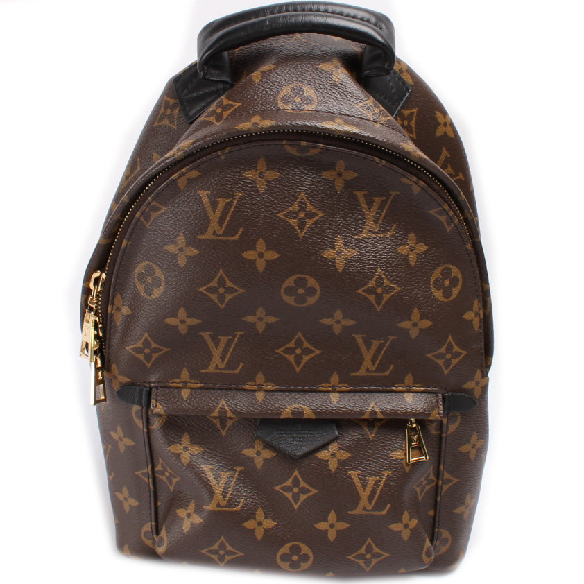 Louis Vuitton Palm Springs Backpack PM Monogram