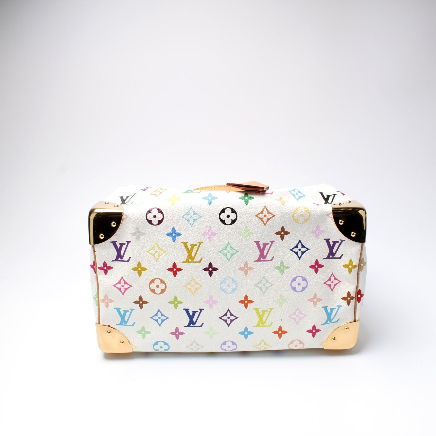 Louis Vuitton Speedy 30 Multicolor