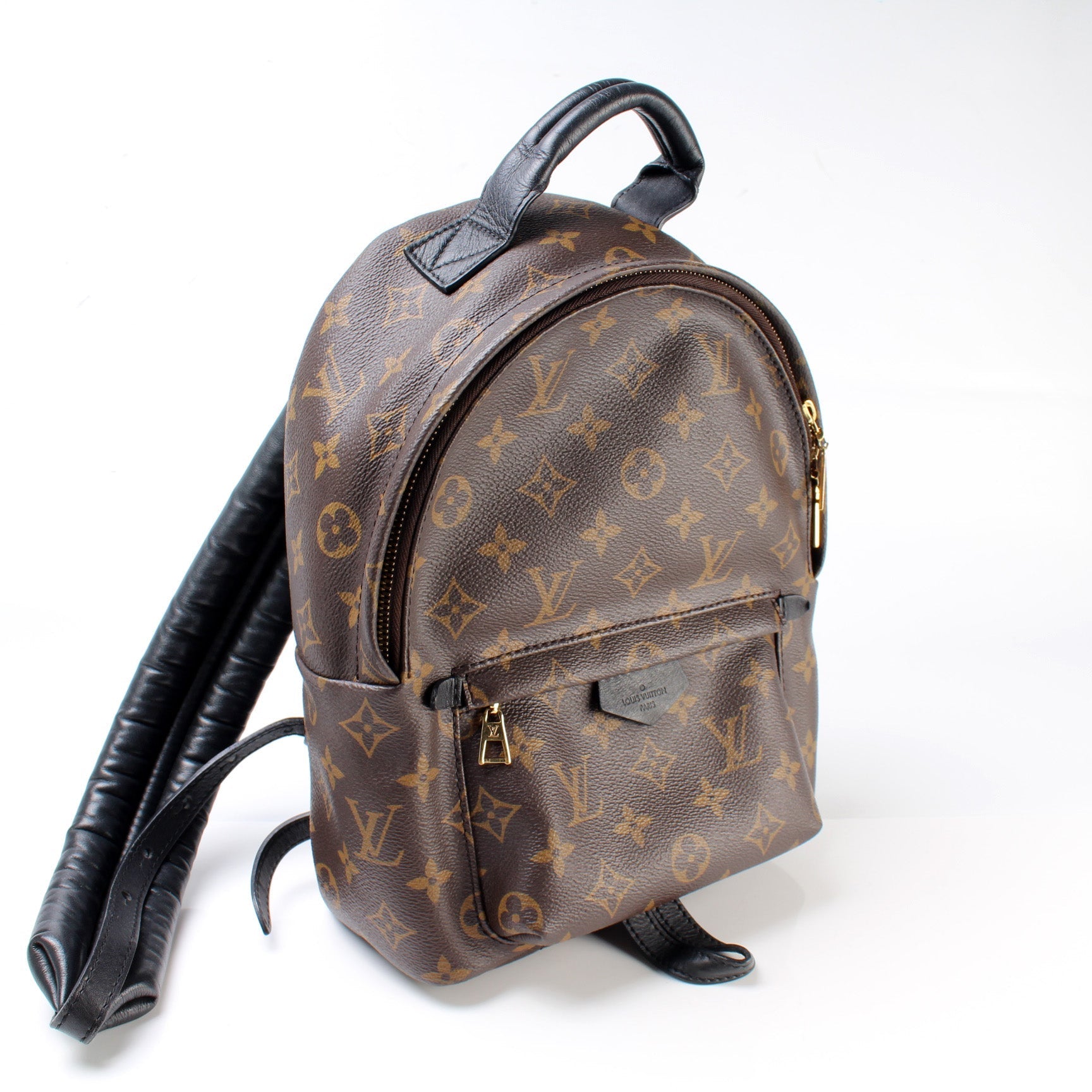 Louis Vuitton Palm Springs Backpack PM