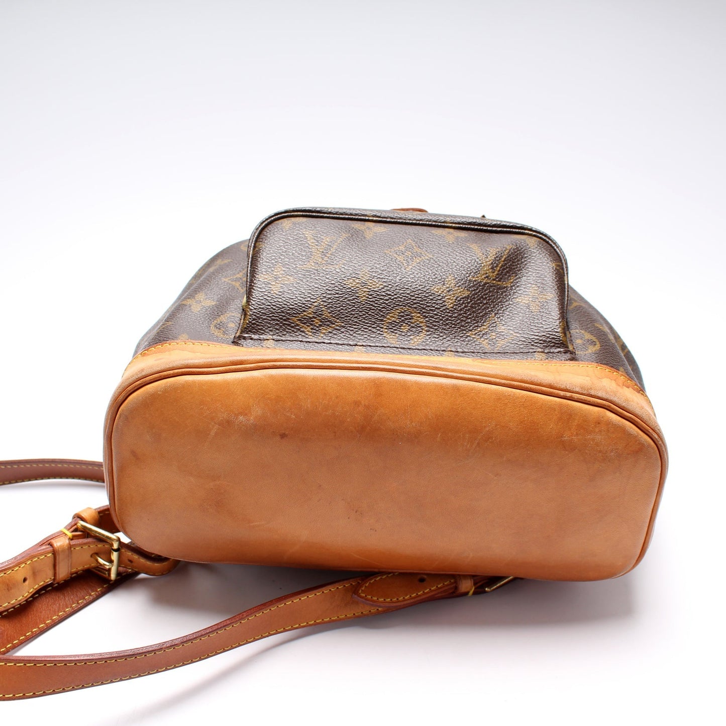 Louis Vuitton Montsouris PM Monogram