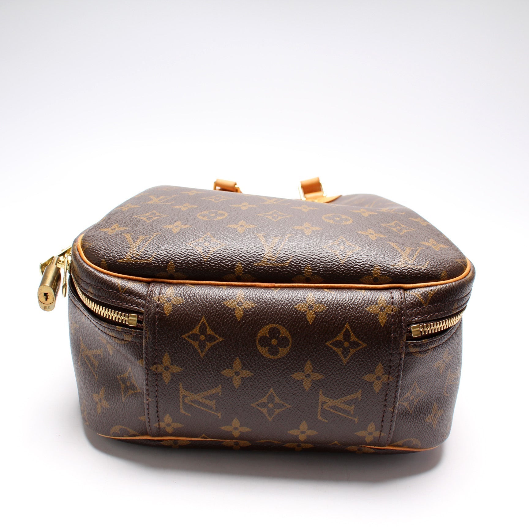 Louis Vuitton Excursion Shoe Bag Monogram