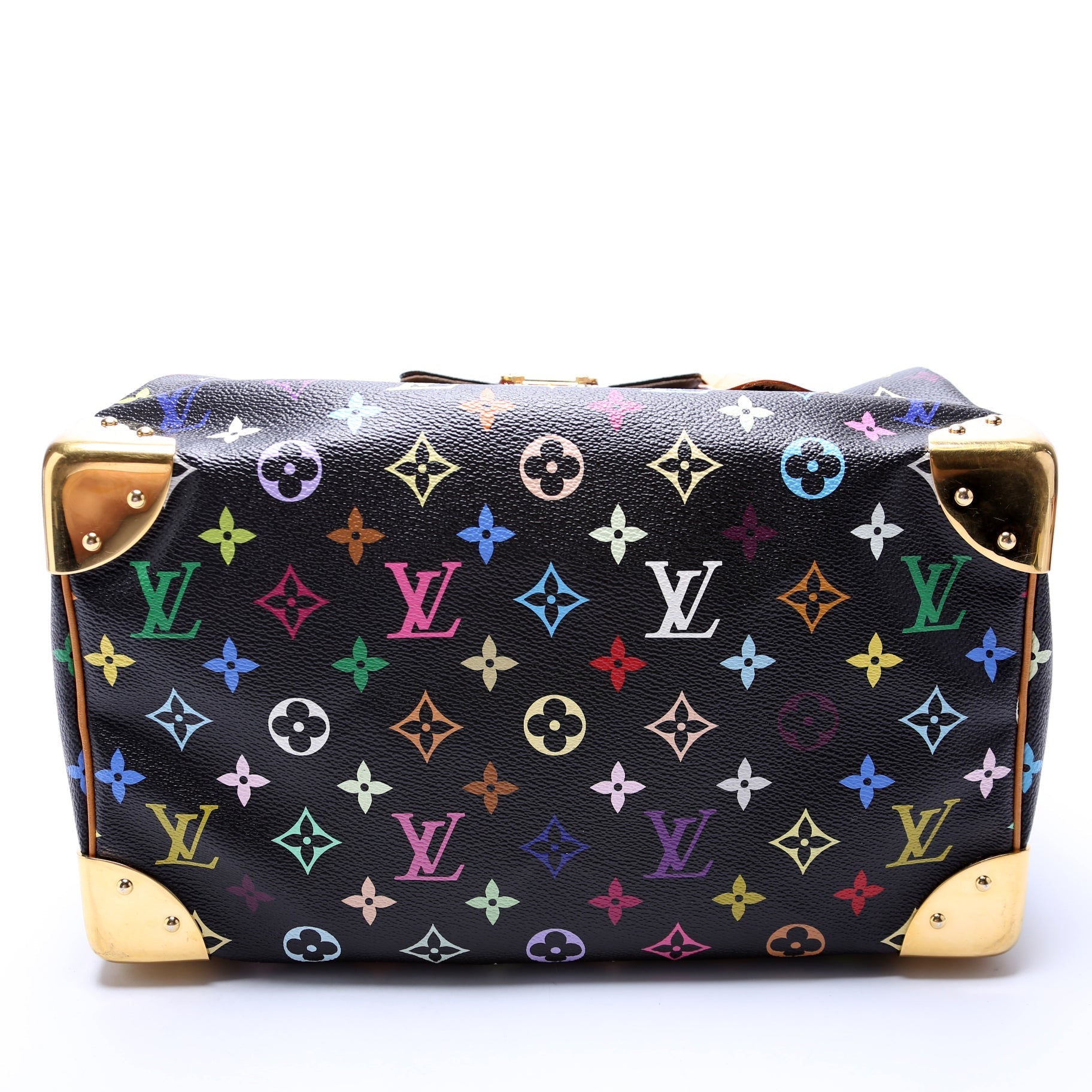 Louis Vuitton Speedy 30 Multicolor