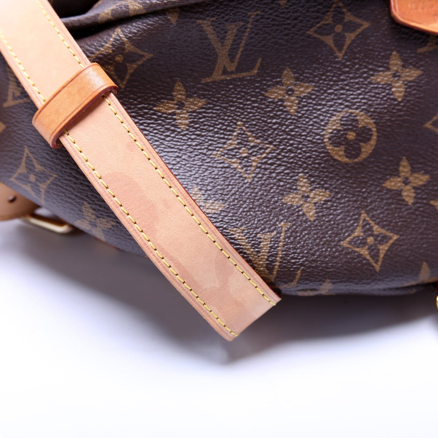 Louis Vuitton Bumbag Monogram 2018+