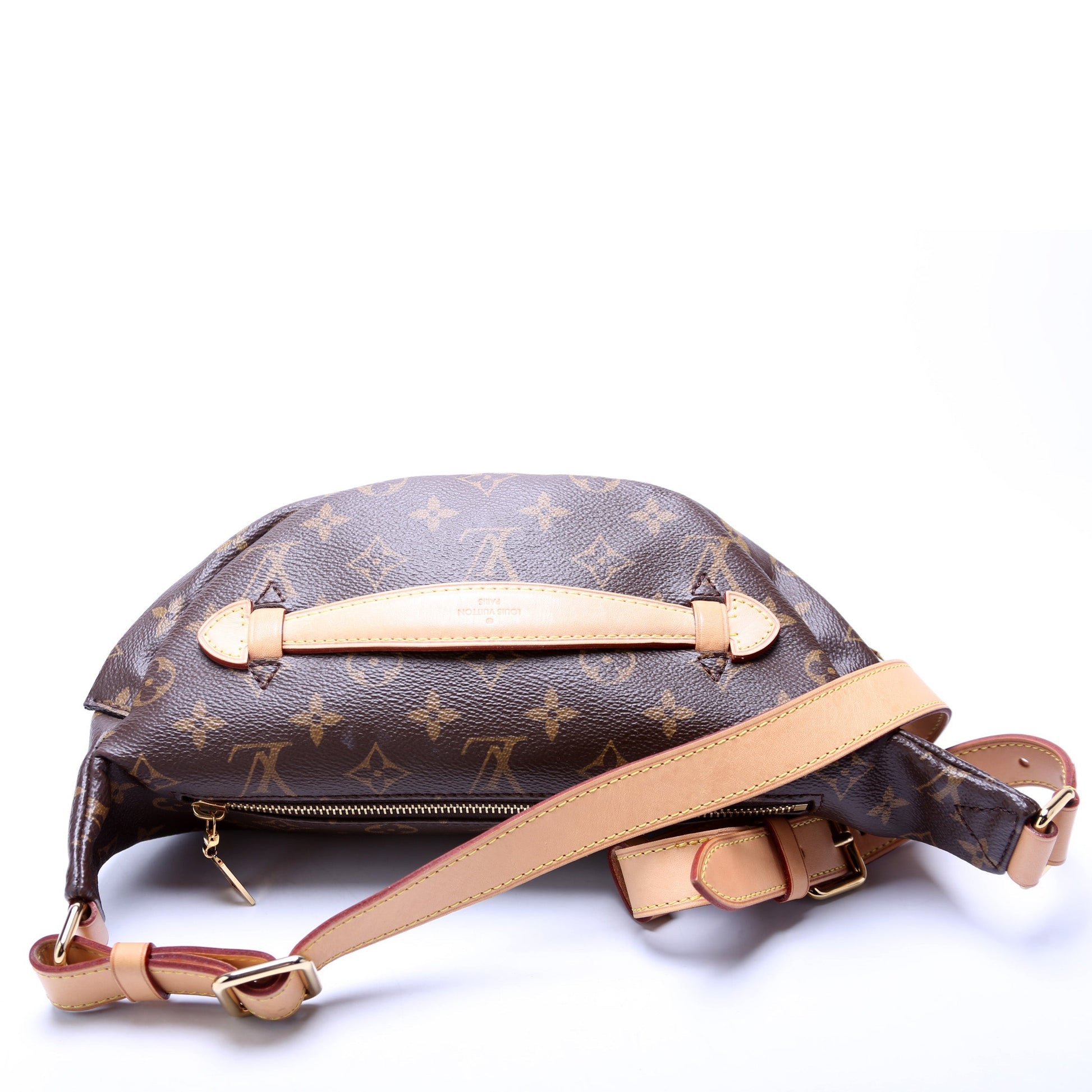 Louis Vuitton Bumbag Monogram 2021+