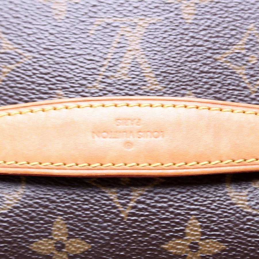 Louis Vuitton Bumbag Monogram 2020