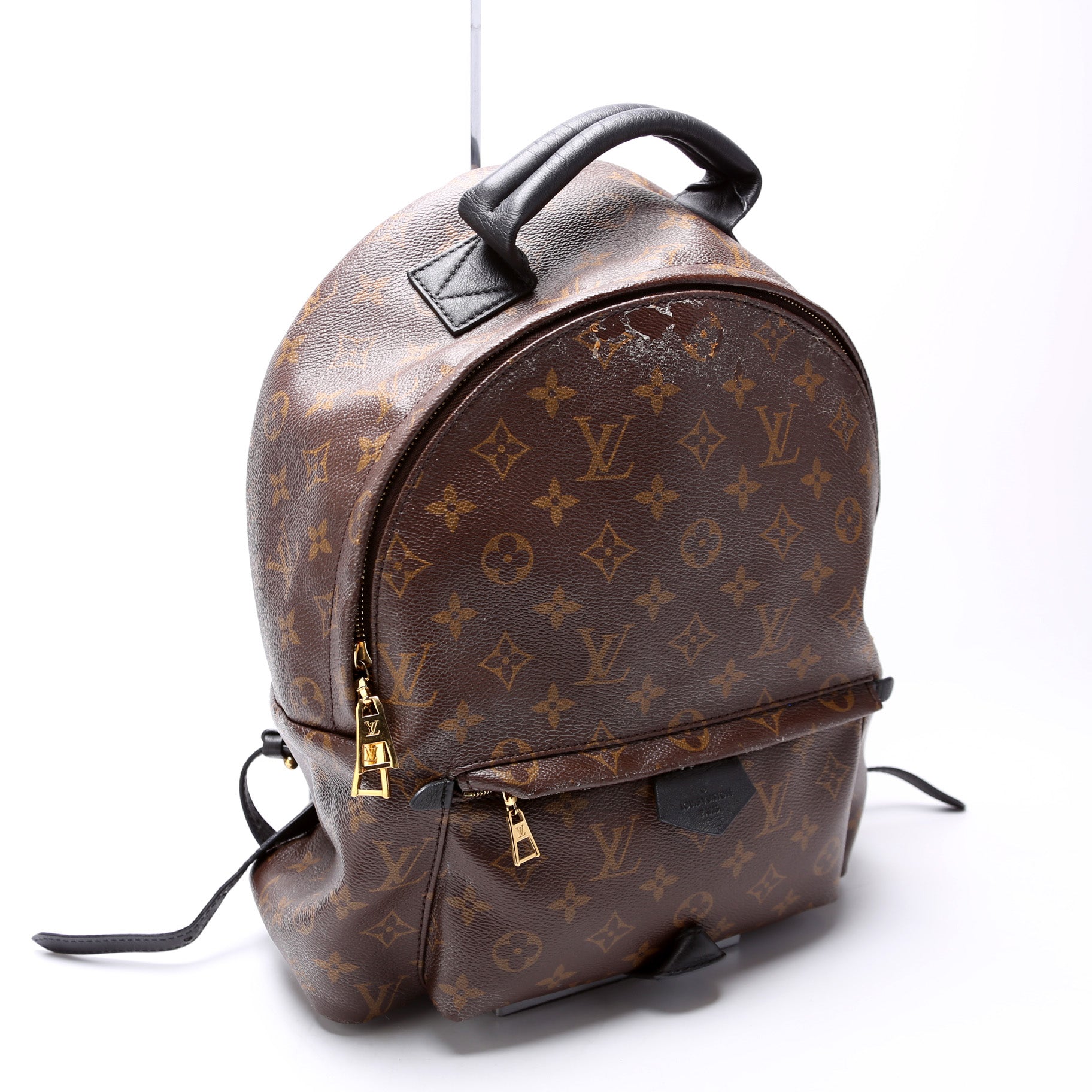 Louis Vuitton Palm Springs Backpack MM Monogram