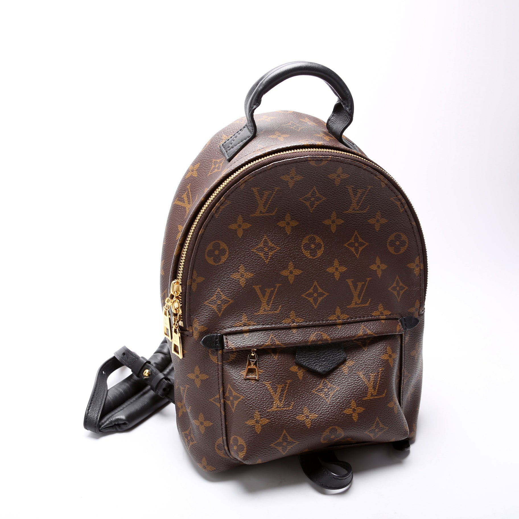 Louis Vuitton Palm Springs Backpack PM NM