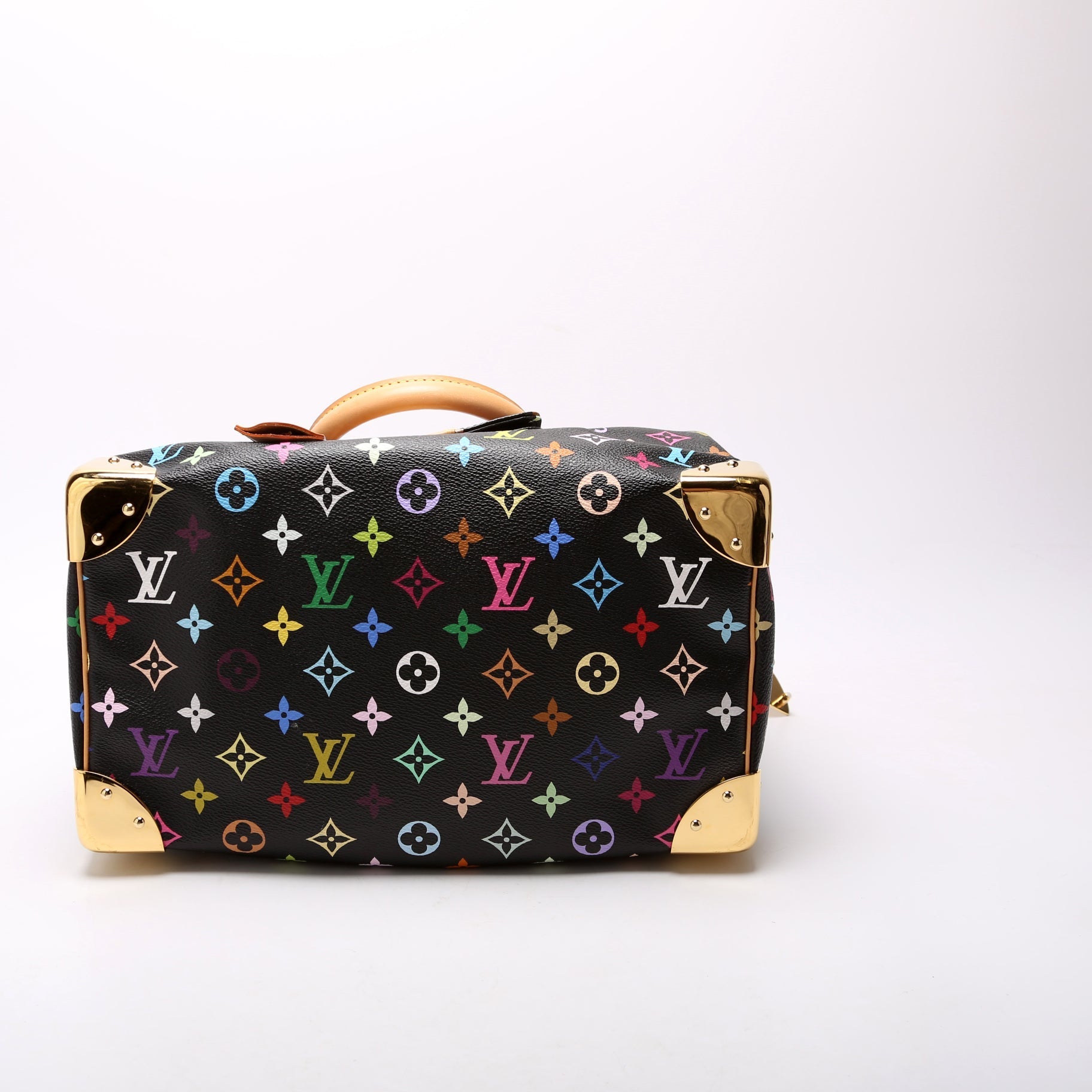 Louis Vuitton Speedy 30 Multicolor