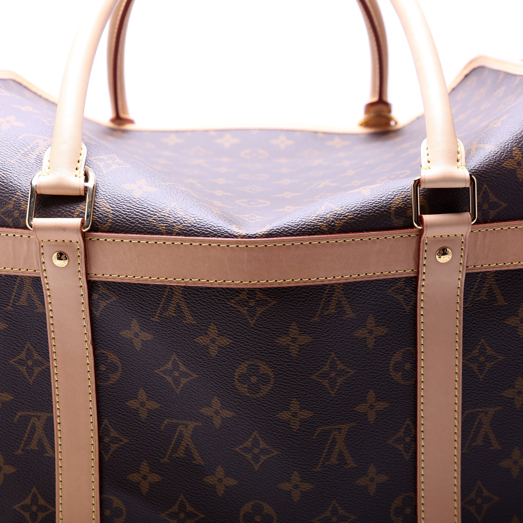 Louis Vuitton Dog Bag Monogram