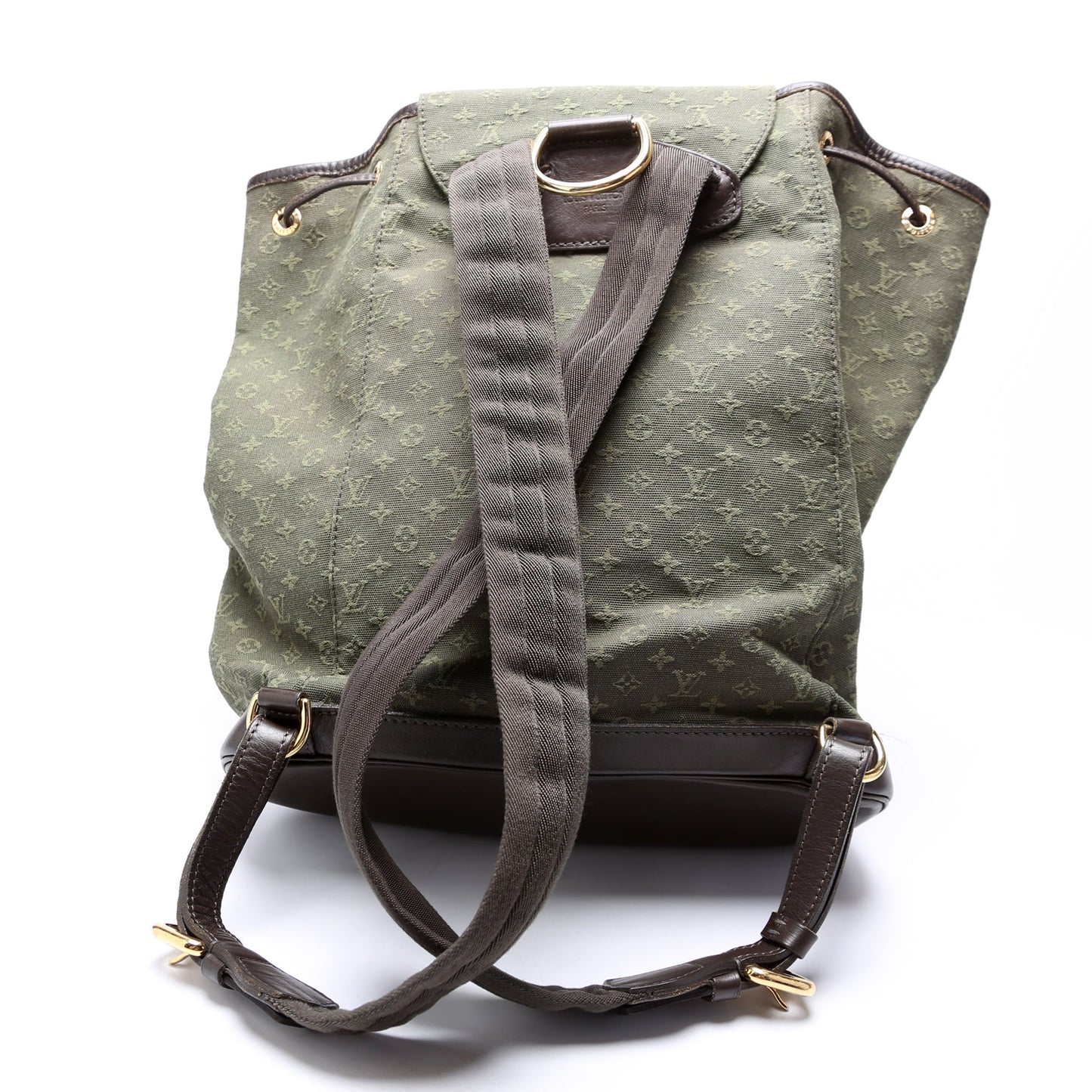 Luxury Women's Handbag | Louis Vuitton Montsouris GM Mini Lin Green