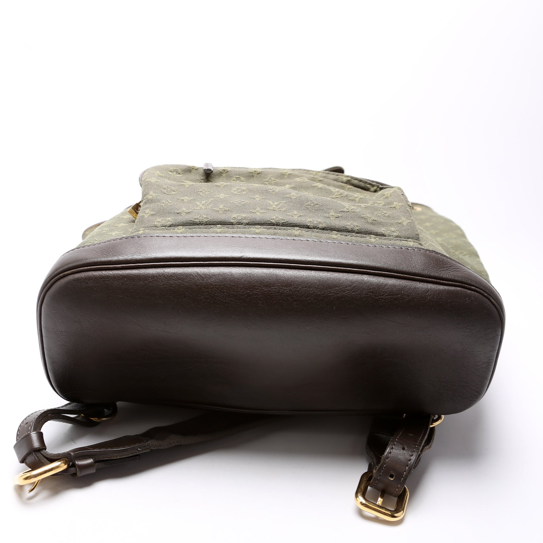 Luxury Women's Handbag | Louis Vuitton Montsouris GM Mini Lin Green