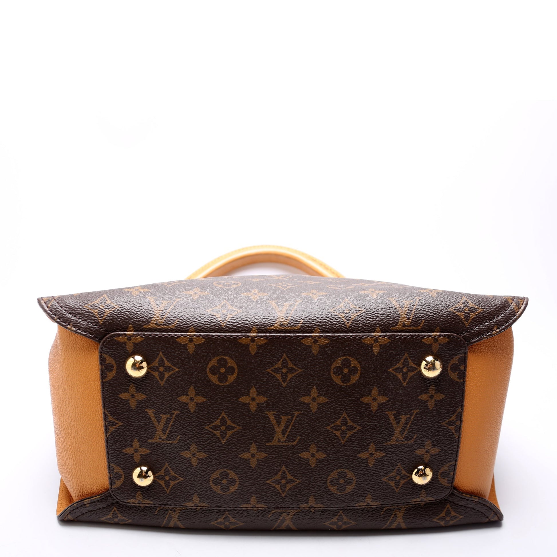Louis Vuitton Gaia Monogram