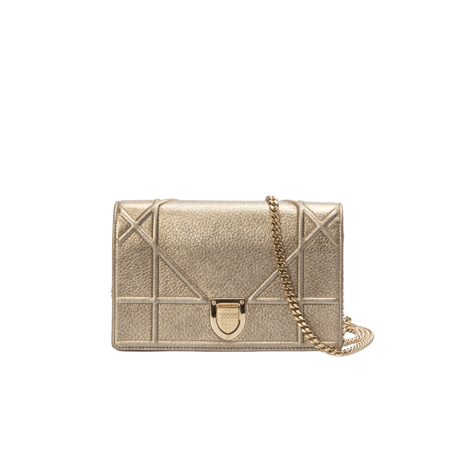 Dior Chain Leather Crossbody