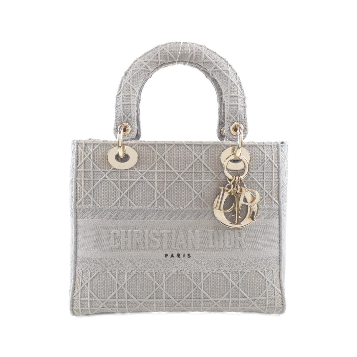 Christian Dior Multi-Color Canvas Handbag ()