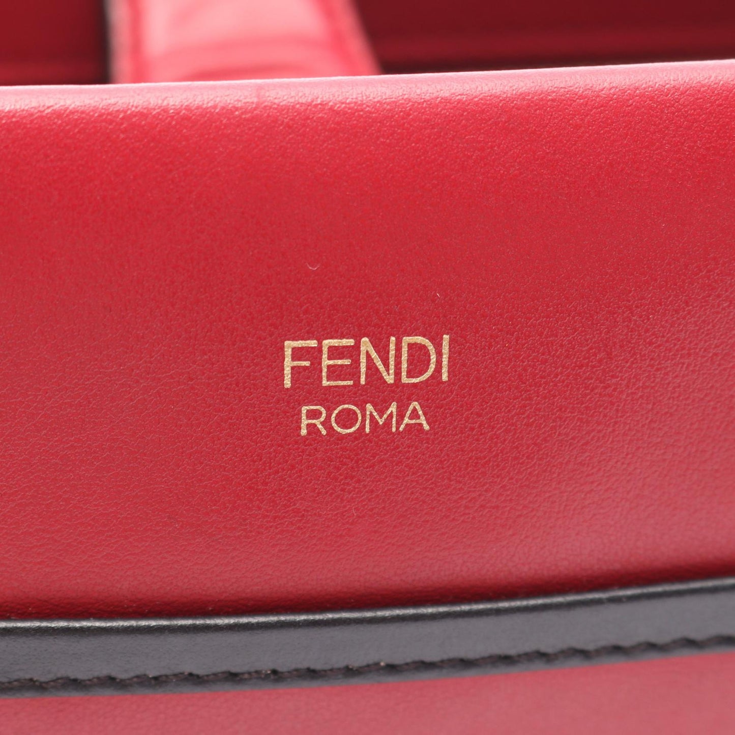 Fendi Peekaboo Fit Mini Leather 2way Bag