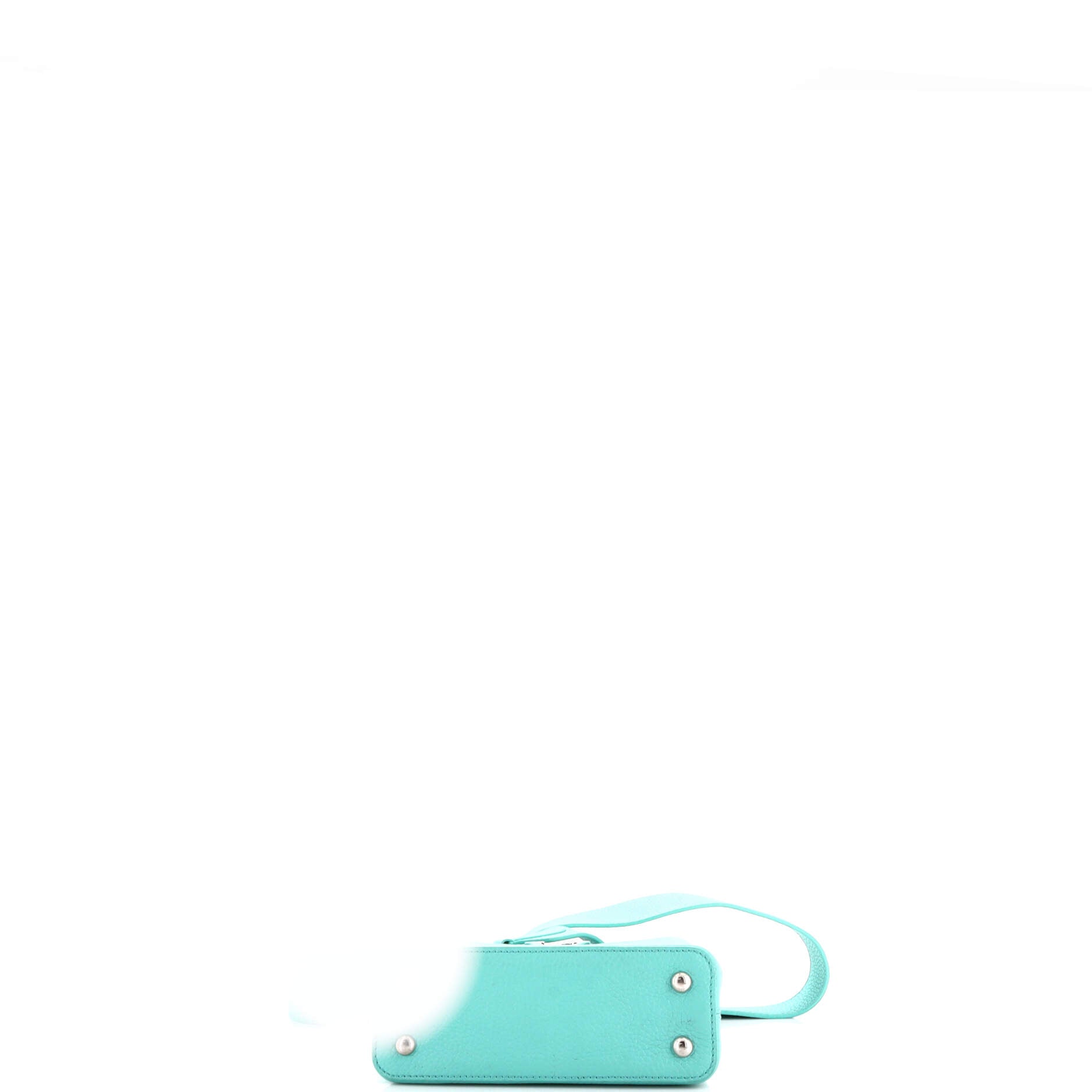 Louis Vuitton Capucines Bag Leather Mini