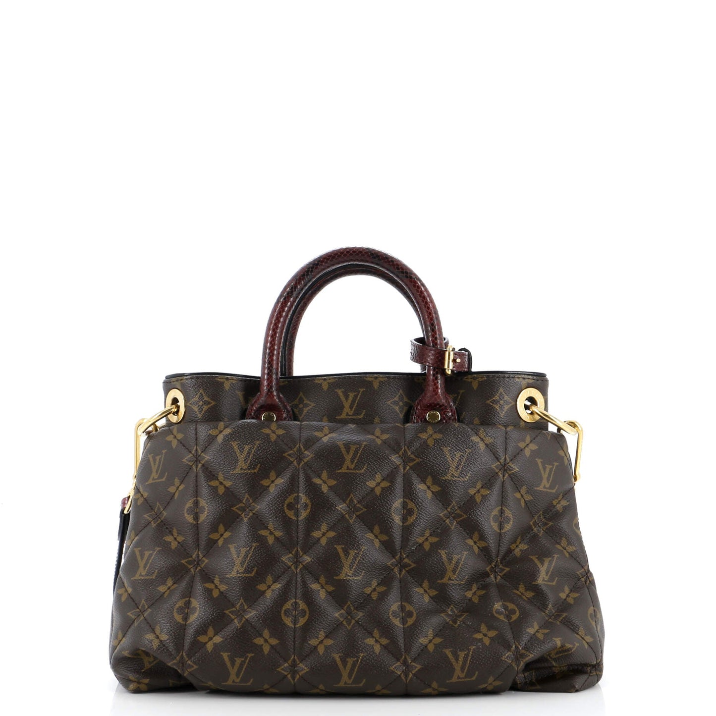 Louis Vuitton Exotique Handbag Monogram Etoile MM