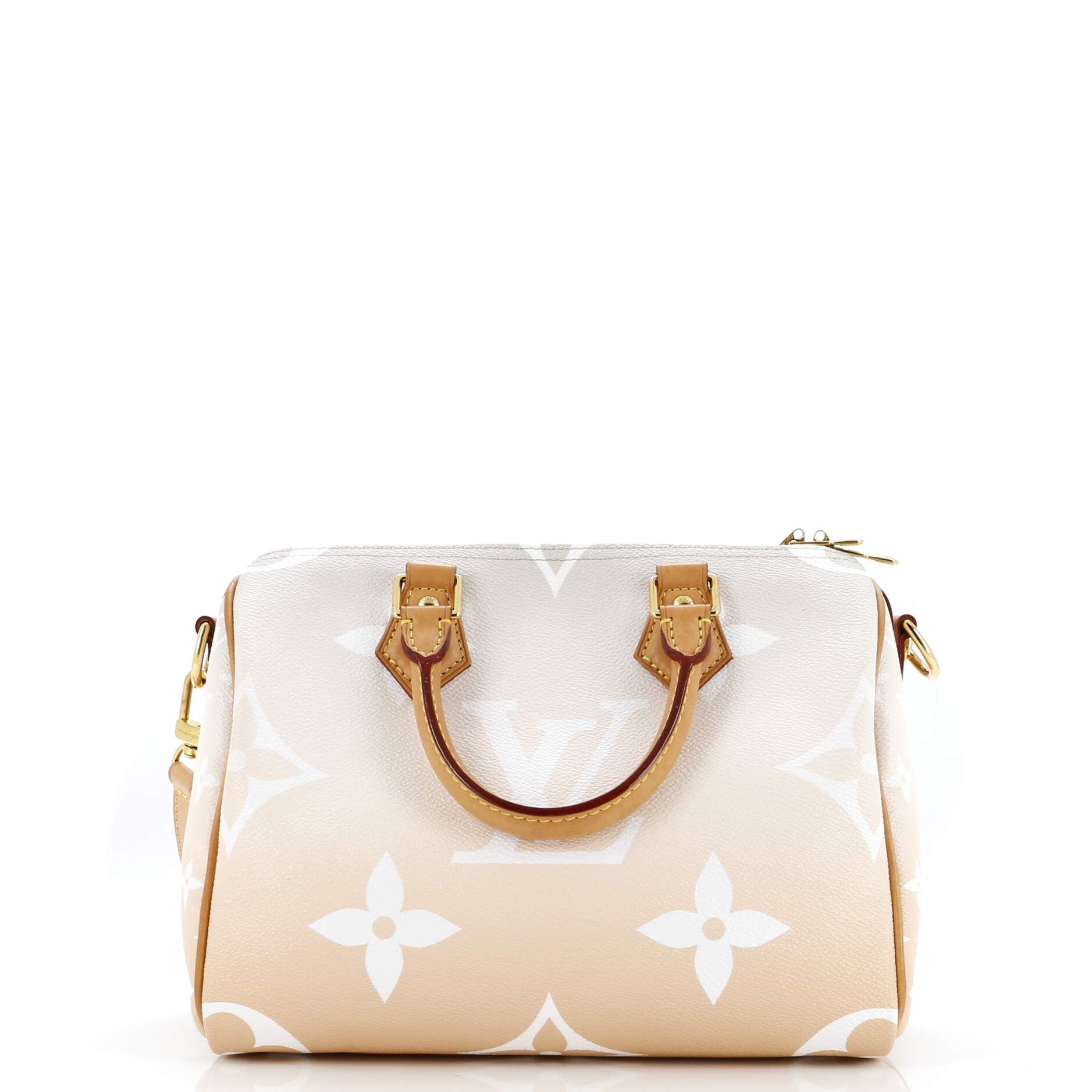 Louis Vuitton Bandouliere Bag By The Pool Monogram Giant 25