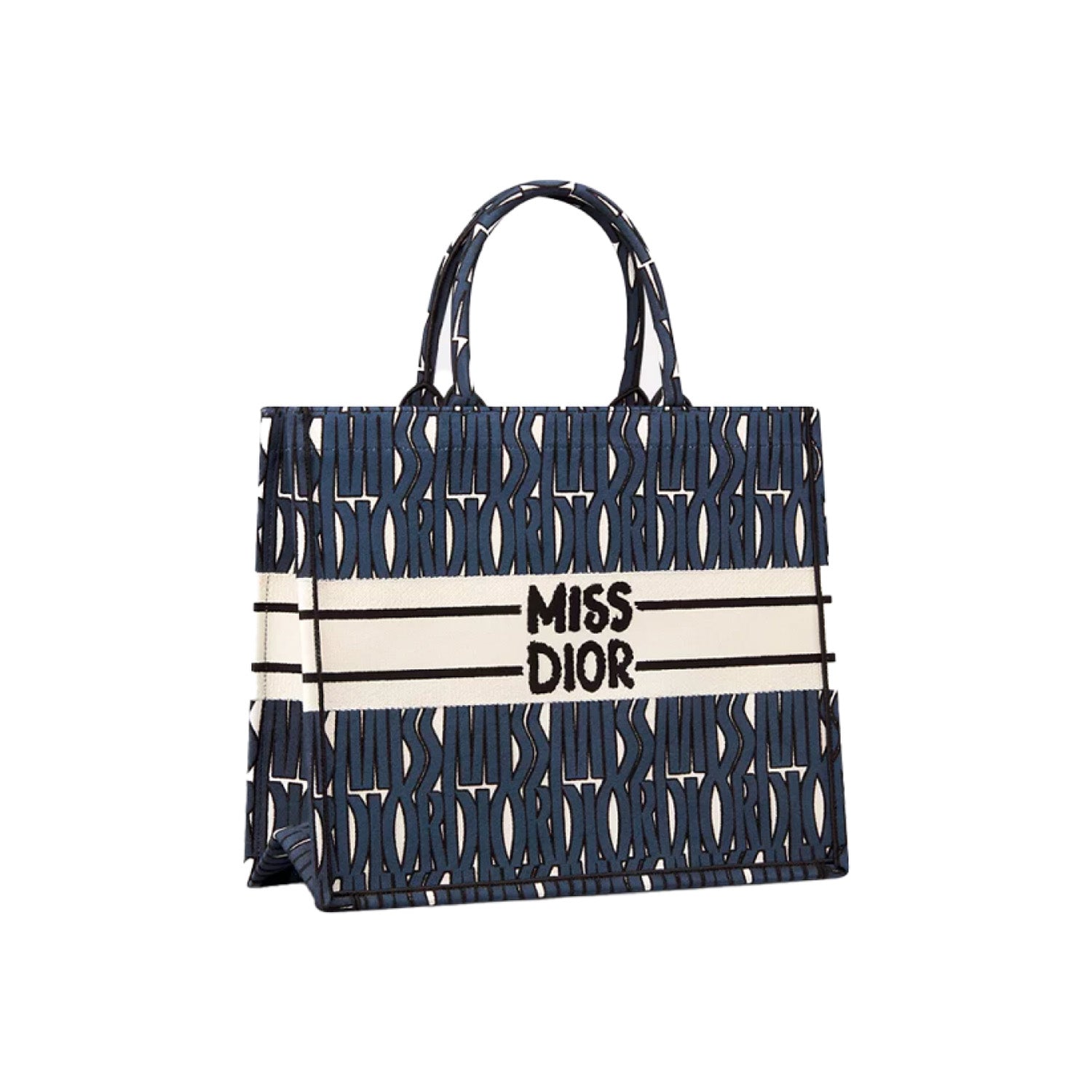 Dior Book Tote Tote