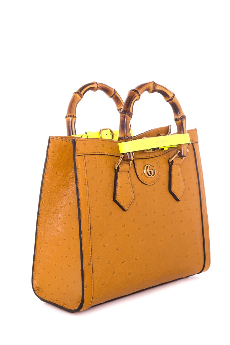Gucci Tan Handbag