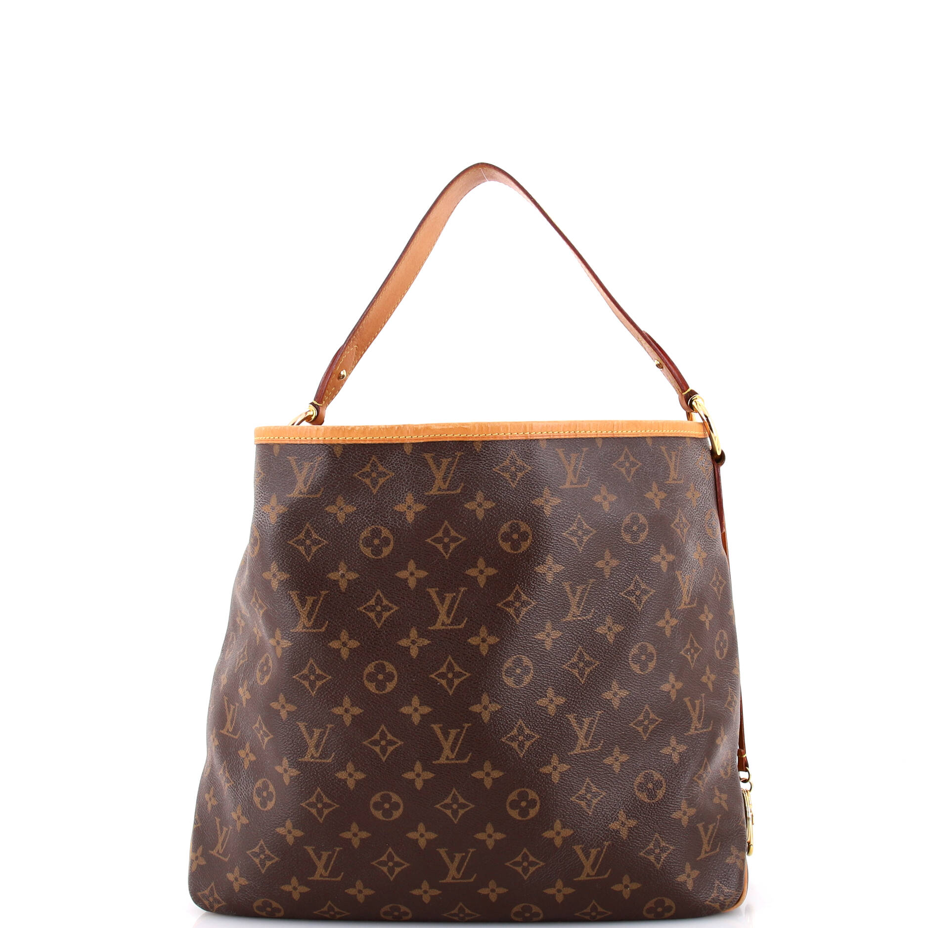 Louis Vuitton Delightful NM Handbag Monogram Canvas MM
