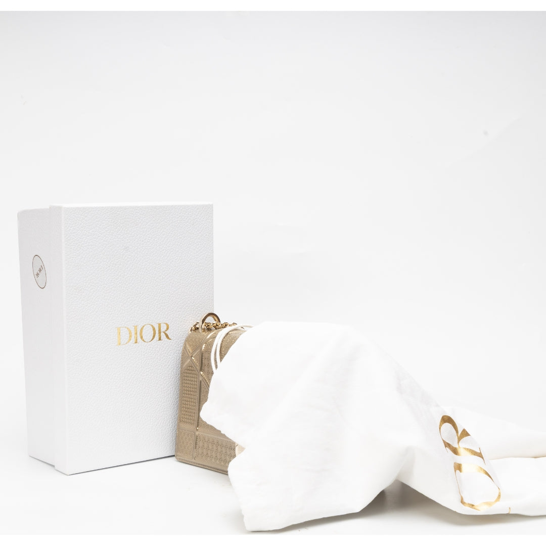 Dior Chain Leather Crossbody