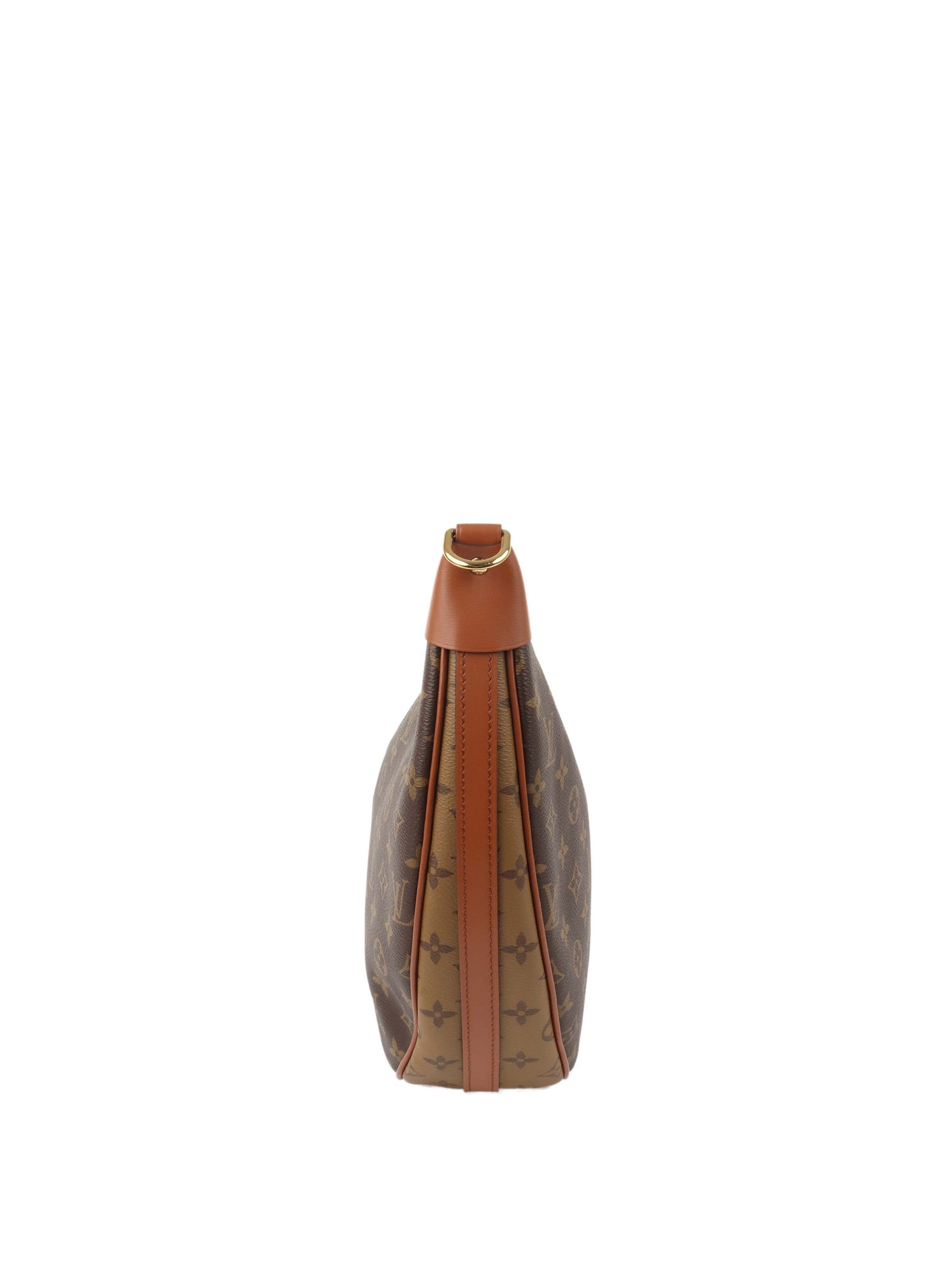 Louis Vuitton Monogram Loop Hobo Bag.