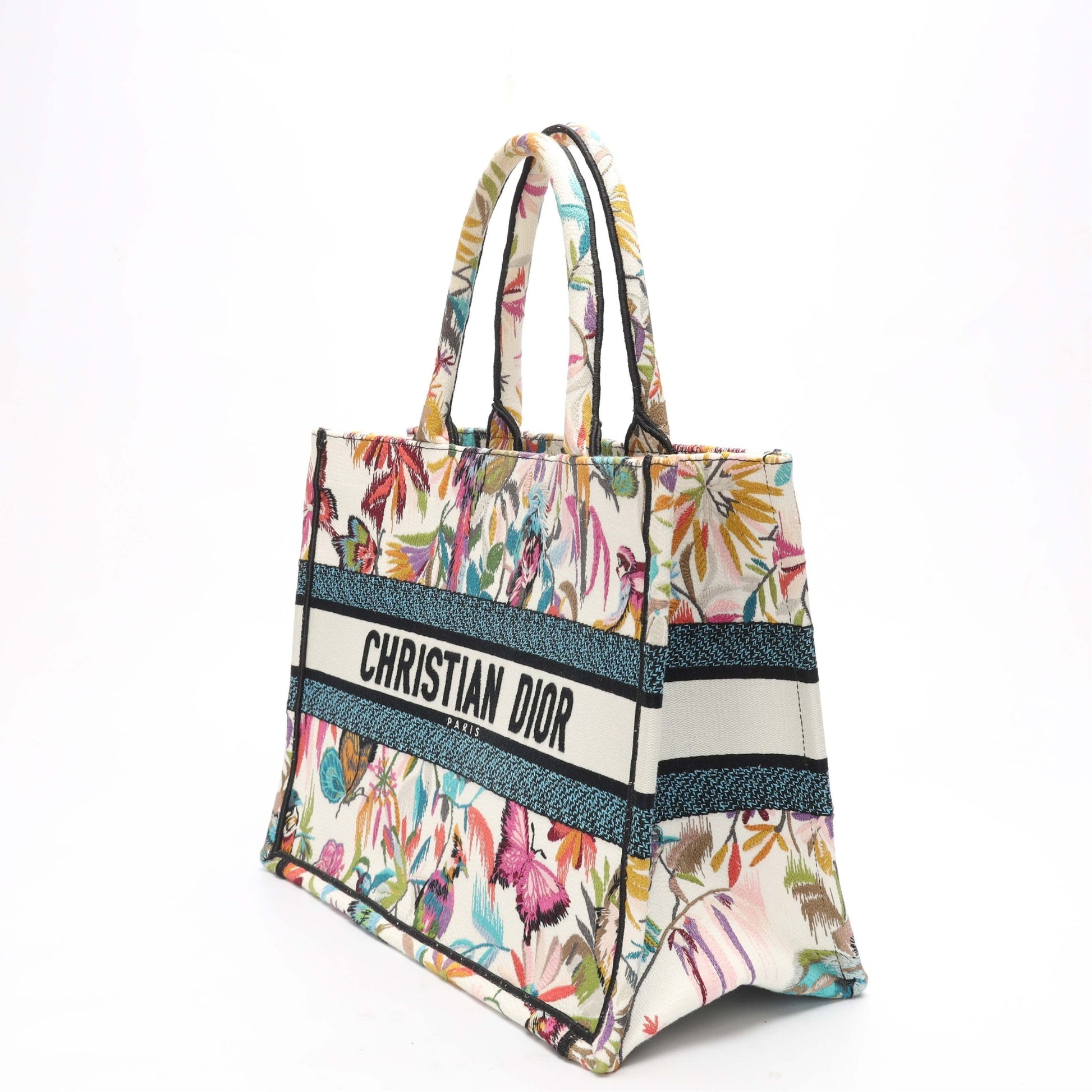 Dior Book Tote Tote