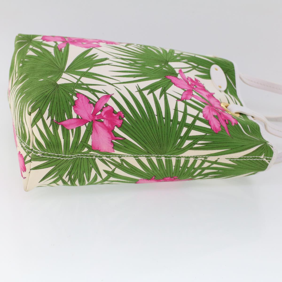 Luxury CELINE Botanical Pattern Tote Bag Canvas Green Pink 53737