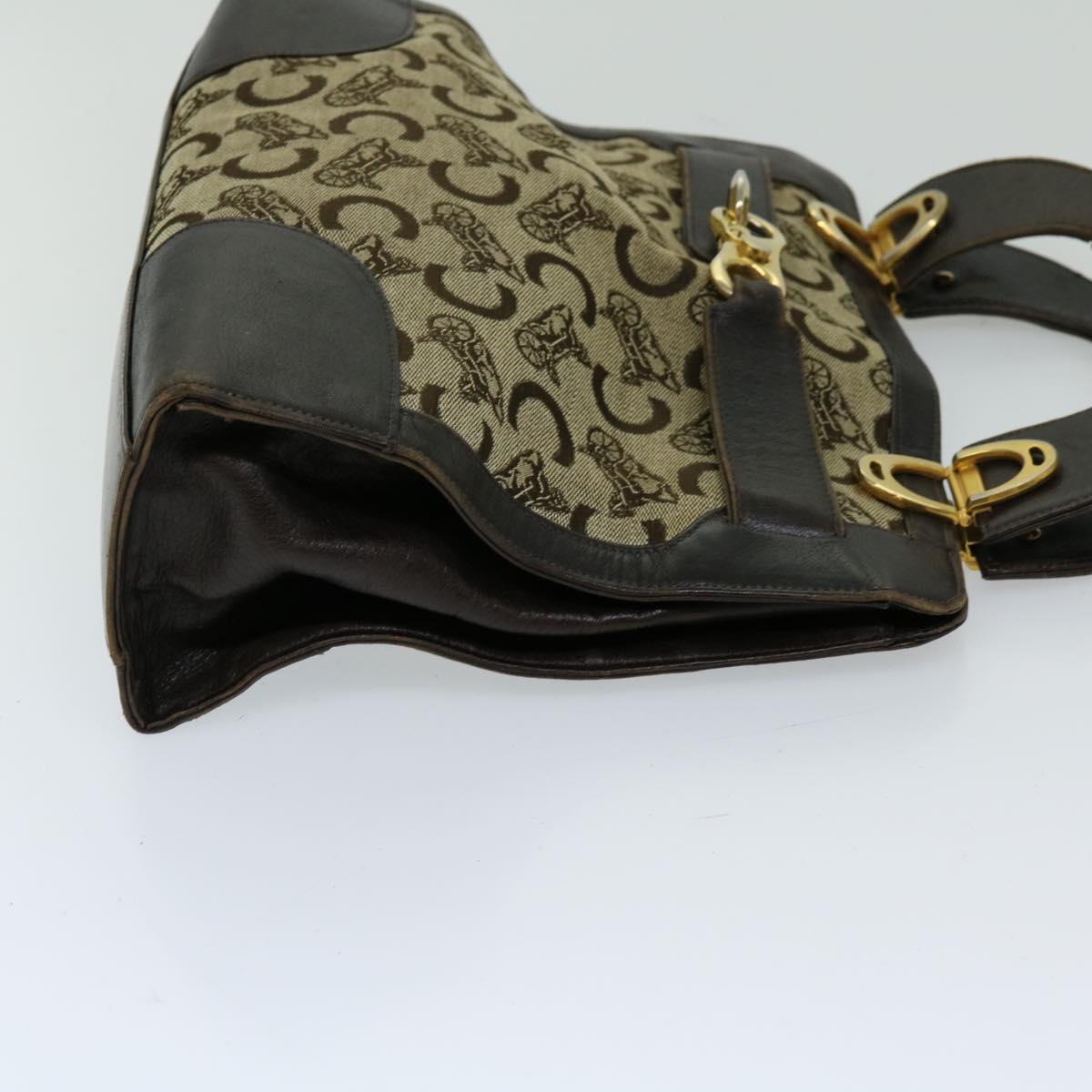 Luxury CELINE C Macadam Canvas Hand Bag Beige 69570